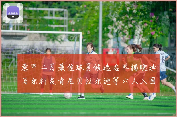 意甲二月最佳球员候选名单揭晓迪马尔科麦肯尼贝拉尔迪等六人入围