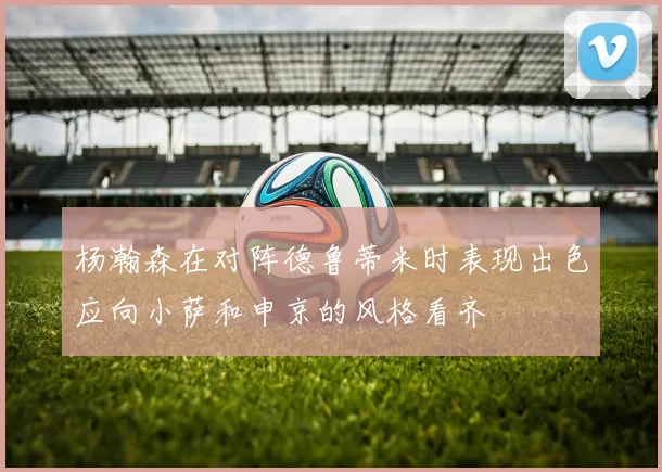 杨瀚森在对阵德鲁蒂米时表现出色应向小萨和申京的风格看齐