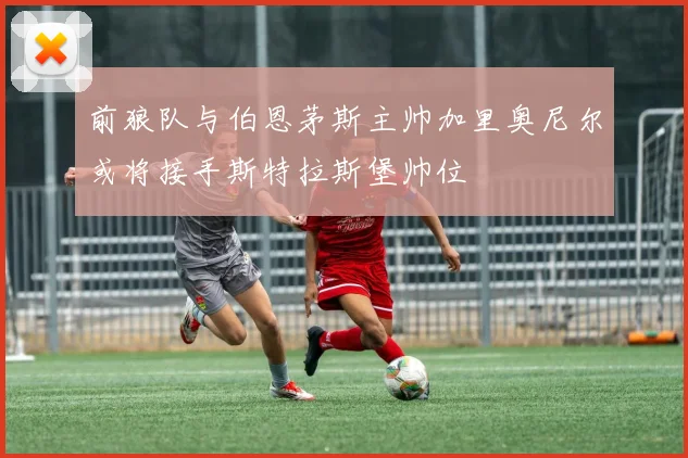 前狼队与伯恩茅斯主帅加里奥尼尔或将接手斯特拉斯堡帅位